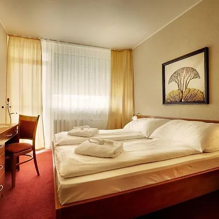 Kupelny Rubin Отель 3*