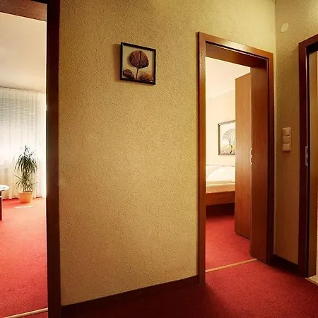 Отель Kupelny Rubin Дудинце